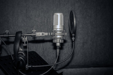 Professional condenser studio microphone