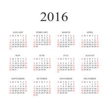 Calendar For 2016. Vector
