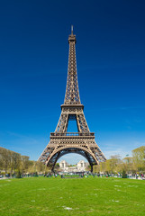 Fototapete - Eiffelturm im Sommer