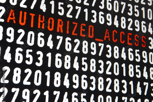 Fotografie, Obraz Computer screen with authorized access text on black background