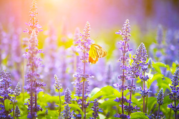 Wall Mural - morning flower garden