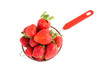 fresh strawberries in strainer isolated over white