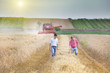 © Budimir Jevtic - Business partners on wheat field