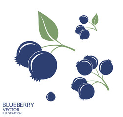 Sticker - Blueberry. Set