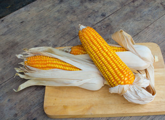 Dry brown corn, organic plant on the old wood table 