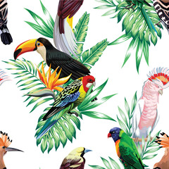 tropical birds and palm leaves pattern