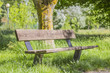 © urielrosen - Banc sous un arbre d'un jour ensoleillé