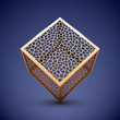 Abstract vector wireframe cube