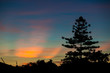 Colorful sunset clouds and tree silhouettes