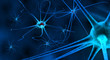 blue nerve cells in human neural system
