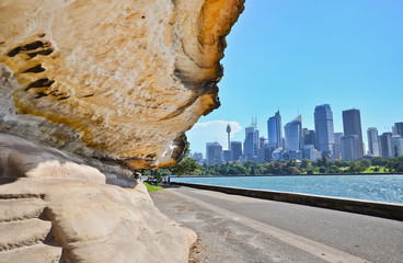 Wall Mural - View of Sydney Harbor in a sunny day