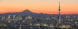 Fototapeta  - Tokyo cityscape and Mountain fuji in Japan
