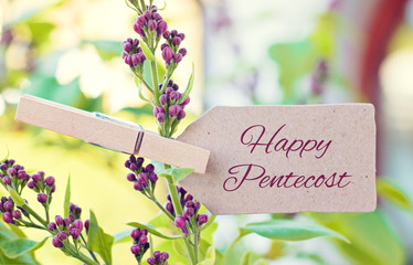  nature greeting card background - happy pentecost