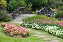 Landscape Of Floral Gardening With Pathway And Bridge In Garden
