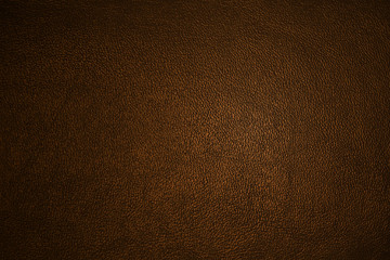 Wall Mural - Leather texture dark brown closeup