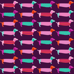 Wall Mural - seamless dachshund dogs pattern
