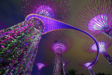 Magic Garden At Night, Singapore
