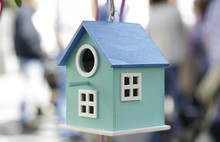 Blue Bird House Hanging On A Tree