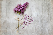 Beautiful Lilac On A Wooden Background