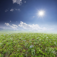 Wall Mural - Green field with  white clouds