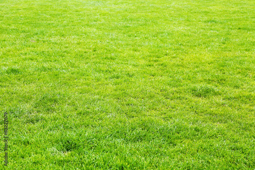 Football field stadium background Stock Photo | Adobe Stock