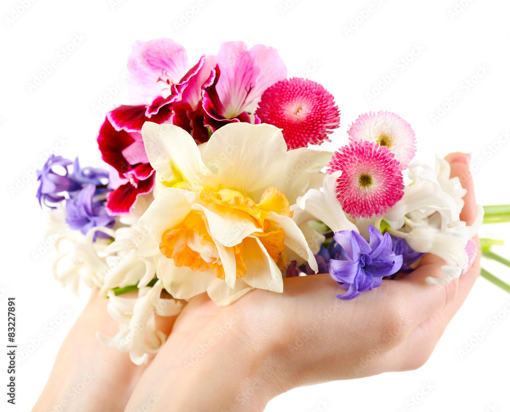 Hands holding bright flowers isolated on white