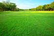 canvas print picture - beautiful morning light in public park with green grass field an