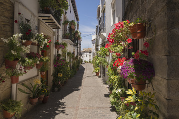 Primavera en Andalucía