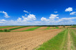 © czamfir - Summer landscape with green grass, road and clouds