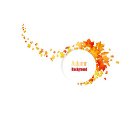 Wall Mural - Autumn leaves design elements 