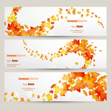Vector Set Of Colorful Autumn Leaves Banners Illustration 