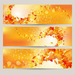 Wall Mural - Vector set of colorful autumn leaves banners illustration 