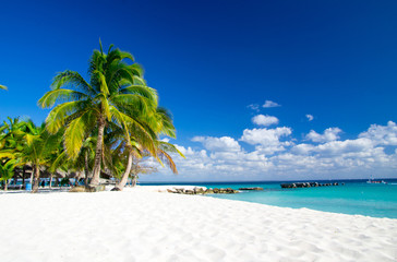 Canvas Print - tropical beach