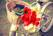 Retro Photo -- Bike With Flowers In A Basket