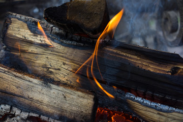 Wall Mural - burning wood in the fire