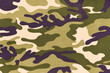 © nimon_t - Camouflage pattern background or texture.