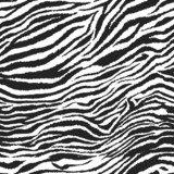 Fototapeta Zebra - Seamless zebra pattern
