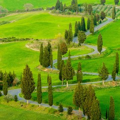Fototapete - Tuscany Spring Landscape Italy