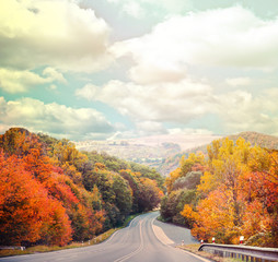 Empty road in autumn forest against blue sky