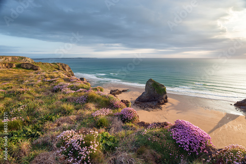 Naklejka na drzwi Summer on the Cornish Coast