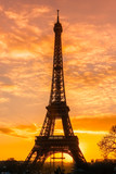 Fototapeta Boho - Eiffel tower at sunrise, Paris.