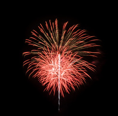 Colorful fireworks in the black sky