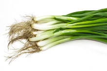 Bunch Of Green Onion