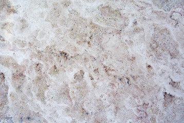 Stone texture 