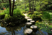 Stepping Stone In A Japanese Garden (Heian Jingu)