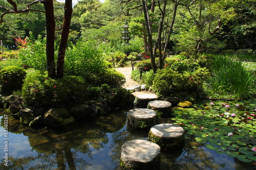 Fotografie, Obraz Stepping stone in a japanese garden (Heian Jingu)
