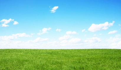 Green field and blue sky