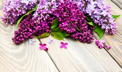 Wall Mural - Lilac flowers