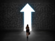 © ra2 studio - Business person looking at maze with solution arrow on the wall