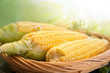 corn cob in the basket